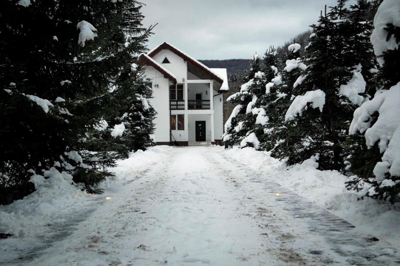 Privilegio 148 Sambata Sîmbăta de Sus Buitenkant foto